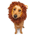 Load image into Gallery viewer, Lion Dog Snood