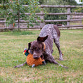 Load image into Gallery viewer, Phoebe Pheasant Dog Toy