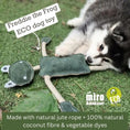 Load image into Gallery viewer, Eco Dog Toy Freddie Frog