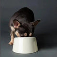 Load image into Gallery viewer, Icon Flat Faced Dog Bowl Cream