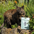 Load image into Gallery viewer, Hairball Control Soft Cat Treats