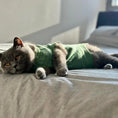 Load image into Gallery viewer, Green Striped Cat Jumper