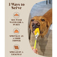 Load image into Gallery viewer, Pumpkin Puree Powder for Dogs