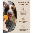 Load image into Gallery viewer, Pumpkin Puree Powder for Dogs