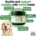 Load image into Gallery viewer, Mobility Dog Supplement
