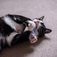Load image into Gallery viewer, Nigel Farage Cat Toy
