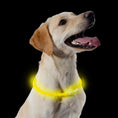 Load image into Gallery viewer, Rechargeable Flashing Band For Night Safety