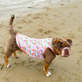 Load image into Gallery viewer, Peach Cooling Vest