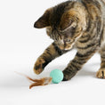 Load image into Gallery viewer, Pidan Cat Toy Bouncy Ball 3 Pack