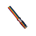 Load image into Gallery viewer, Rainbow Webbing Dog Collar
