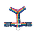 Load image into Gallery viewer, Rainbow Webbing Harness