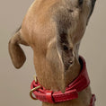 Load image into Gallery viewer, Artisan 03 Sight Hound Collar Red