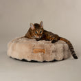 Load image into Gallery viewer, Alpine Pet Cushion