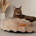 Load image into Gallery viewer, Alpine Pet Cushion