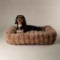 Load image into Gallery viewer, Alpine Box Bed Taupe