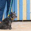 Load image into Gallery viewer, Shuka Blue Collar