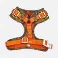 Load image into Gallery viewer, Tiger Adjustable Harness