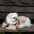 Load image into Gallery viewer, The Barrister Coat