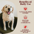 Load image into Gallery viewer, Urinary Cranberry Topper for Dogs & Cats