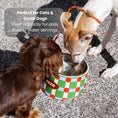 Load image into Gallery viewer, Zeze Stainless Pet Bowl