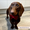 Load image into Gallery viewer, Luxe Velvet Bow Tie - Berry Red
