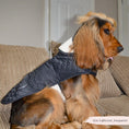Load image into Gallery viewer, Luxe Quilted Dog Coat Midnight Black
