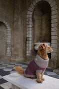 Load image into Gallery viewer, Burgundy Merino Lambswool Dog Jumper
