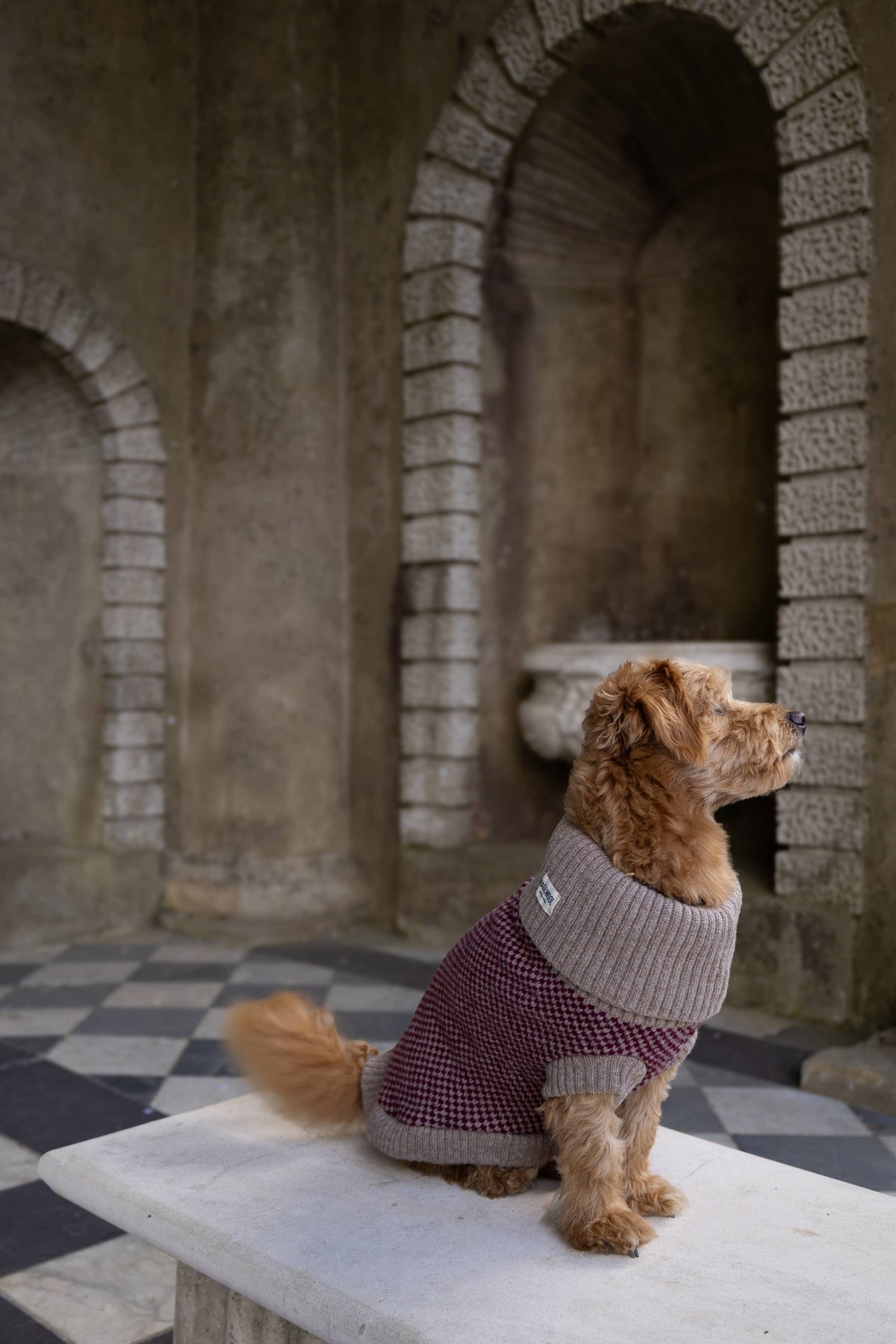 Burgundy Merino Lambswool Dog Jumper