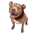 Load image into Gallery viewer, A brown pitbull-type dog wearing a brown knit bear-themed hat and matching knit collar, photographed against a clean white background.
