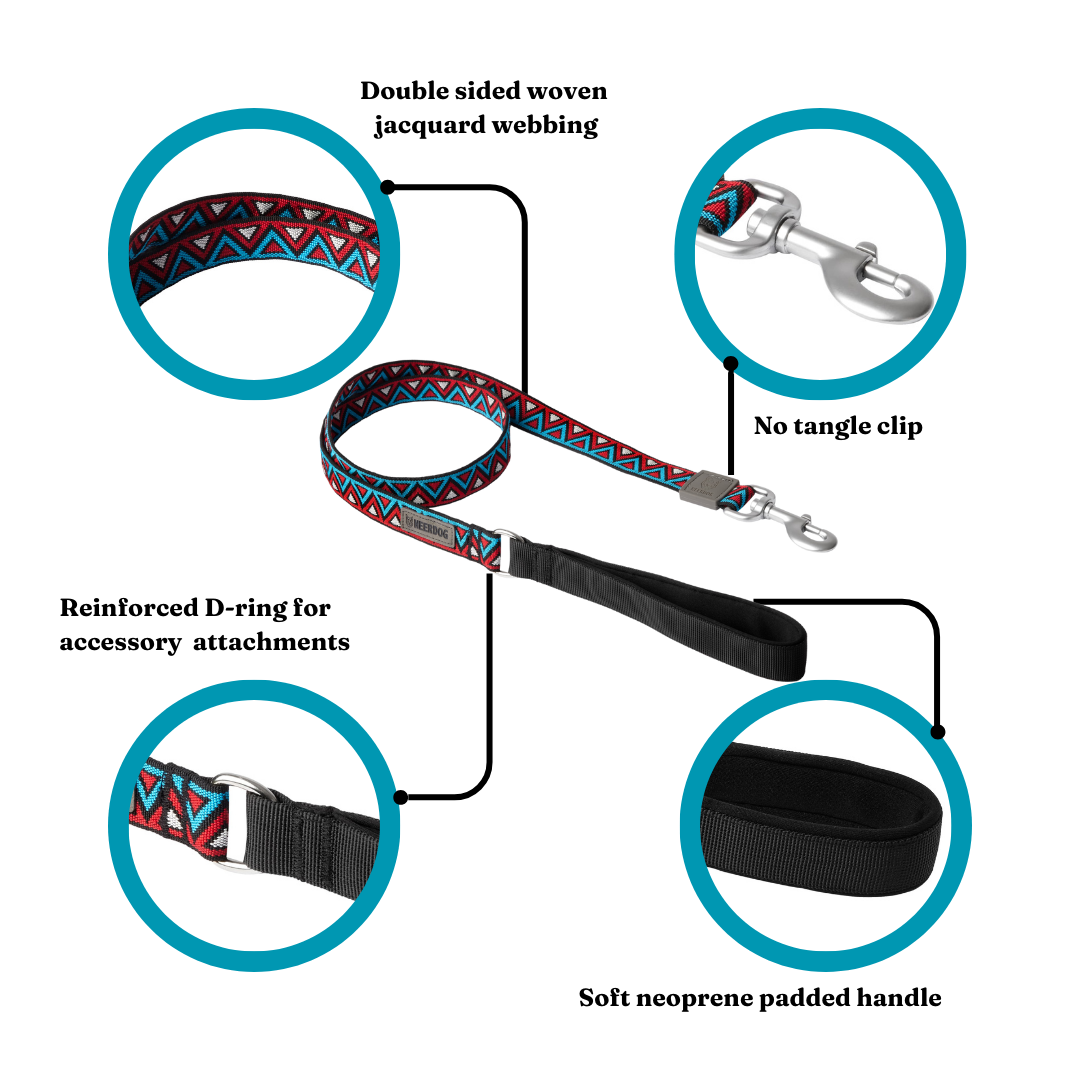 GO-CEE Dog Lead Zinnia