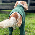 Load image into Gallery viewer, Legacy Polar Fleece Dog Explorer Khaki
