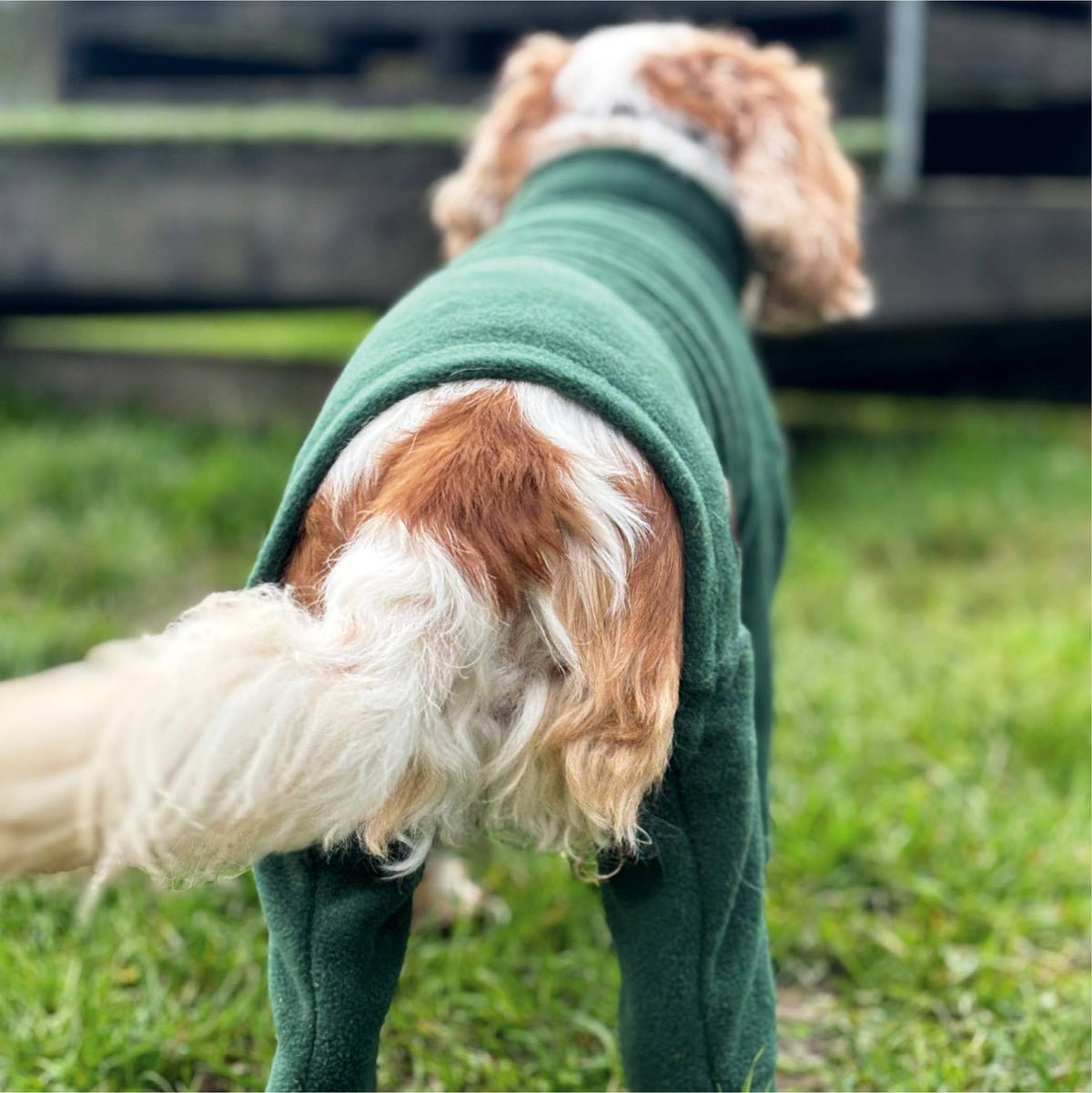 Legacy Polar Fleece Dog Explorer Khaki