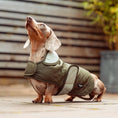 Load image into Gallery viewer, Luxe Quilted Dog Coat Countryside Khaki
