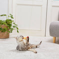 Load image into Gallery viewer, Petio Tempura Cat Teaser with Crinkly Film & Ribbon

