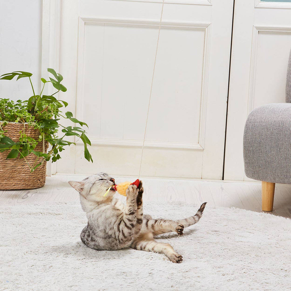 Petio Tempura Cat Teaser with Crinkly Film & Ribbon