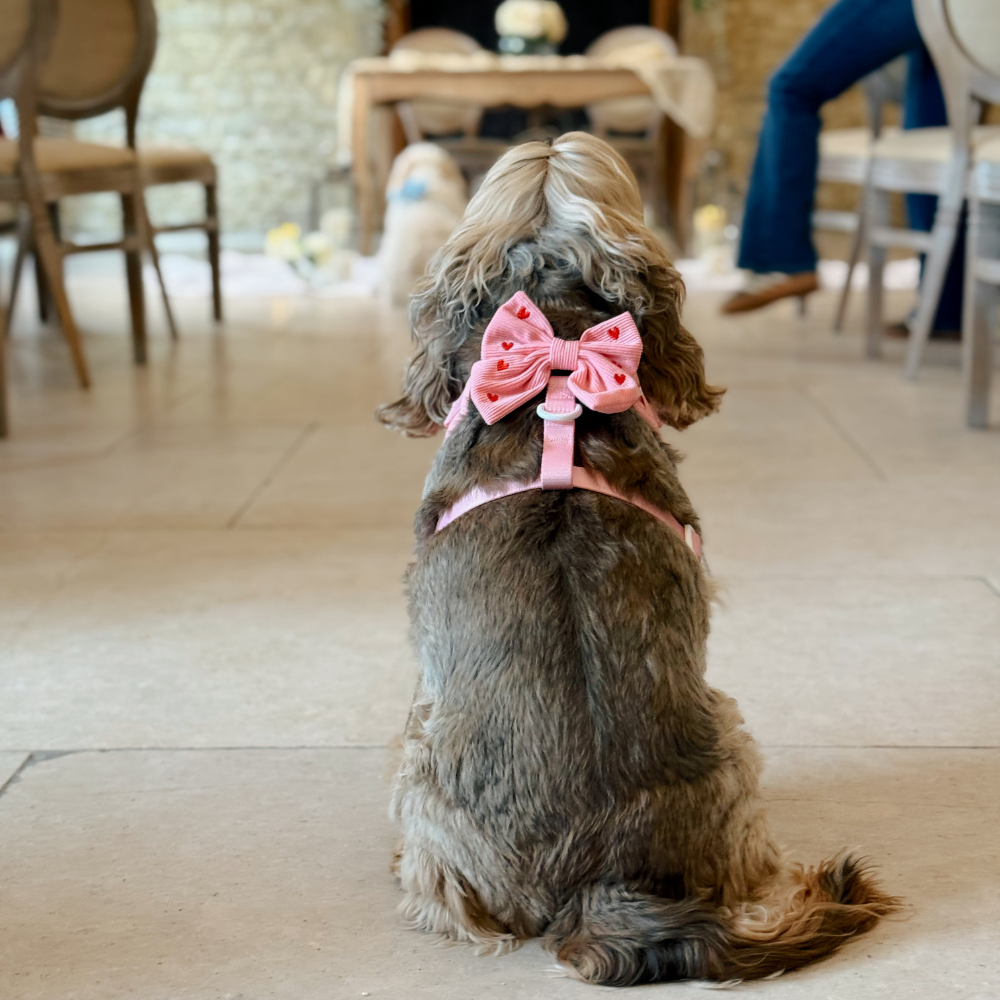 Pink Heartstrings Cord Sailor Bow Tie