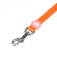 Load image into Gallery viewer, Two-Tone Lead - Tutti-Fruity
