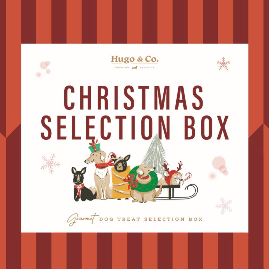 Christmas Flavours Selection Box Dog Treats