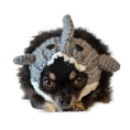 Load image into Gallery viewer, Great White Shark Dog Snood
