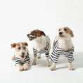 Load image into Gallery viewer, Dog Breton Shirt Toutounière
