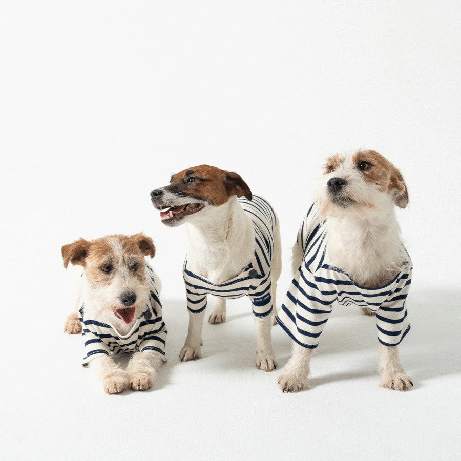 Dog Breton Shirt Toutounière