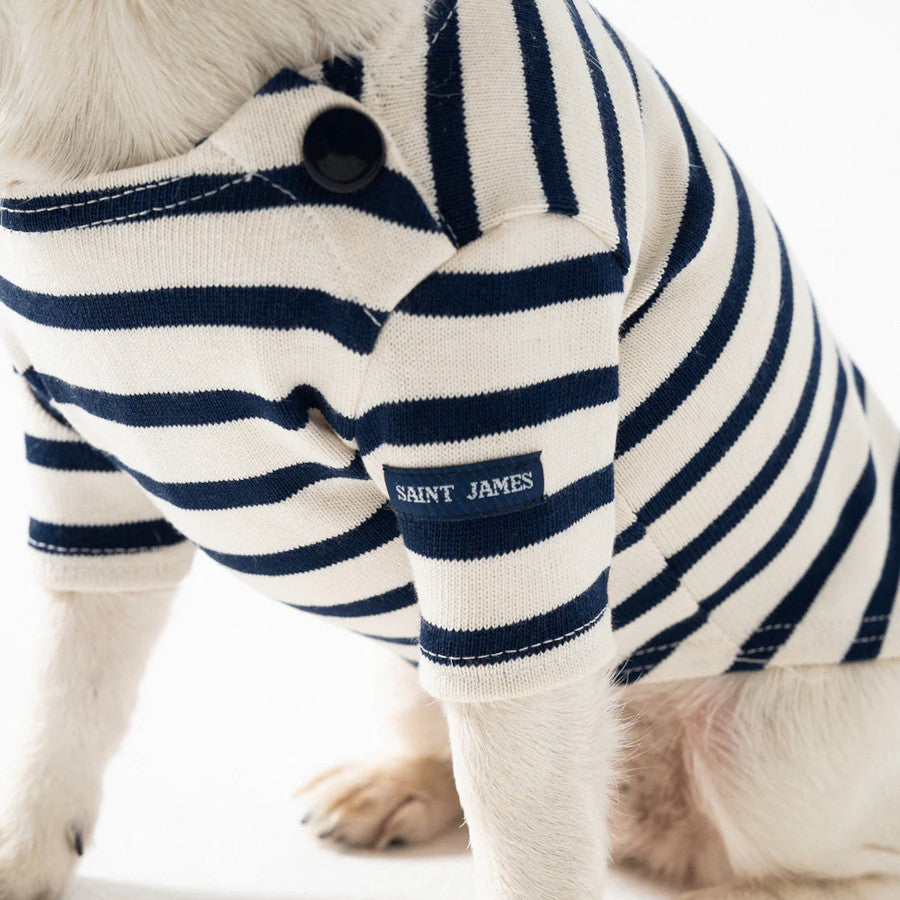 Dog Breton Shirt Toutounière