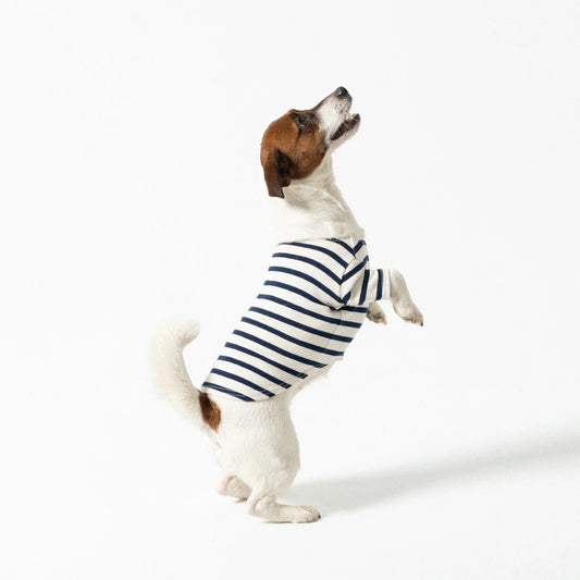 Dog Breton Shirt Toutounière