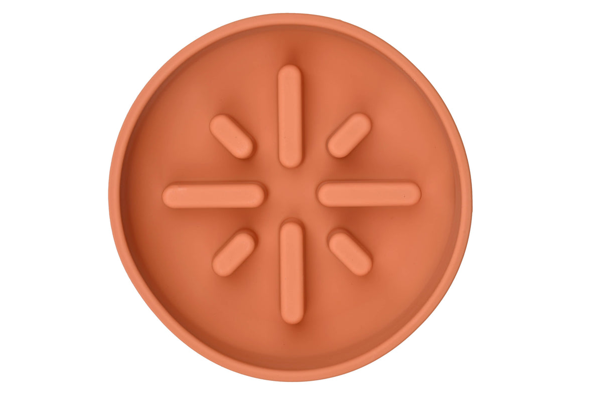 Sili Slow Feeder Bowl