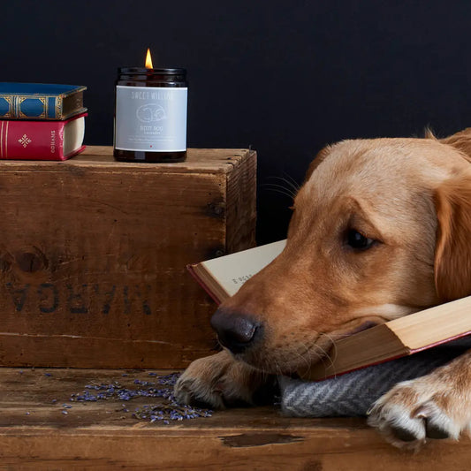 Sleepy Dog Organic Candle