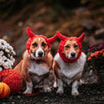 Load image into Gallery viewer, Devil Dog Snood
