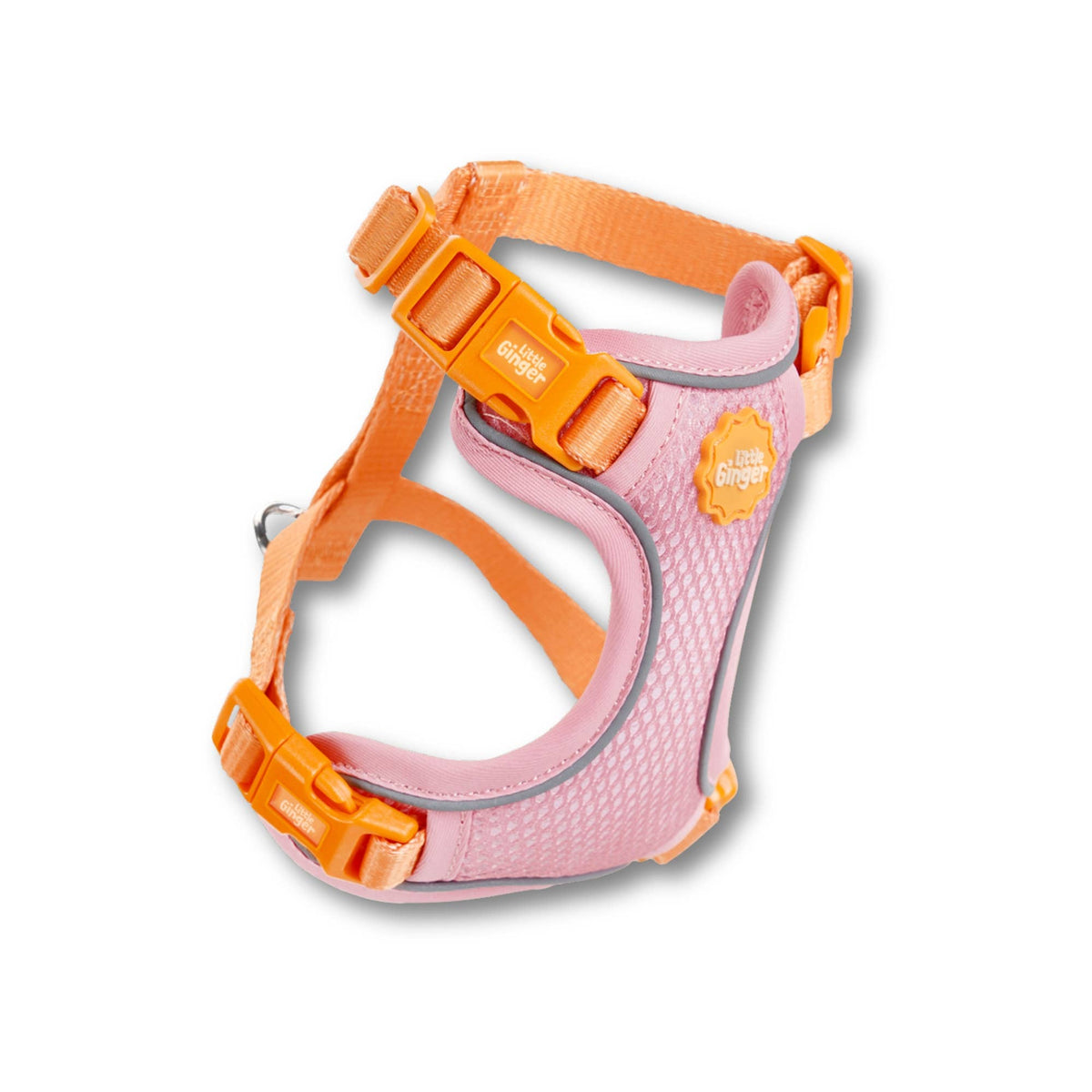 Small Pet Harness - Tutti-Fruity