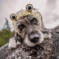 Load image into Gallery viewer, Frog Dog Snood
