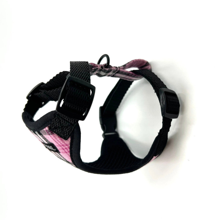 Pinkberry Check Cat Harness & Lead