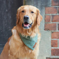 Load image into Gallery viewer, Tweed Bandana
